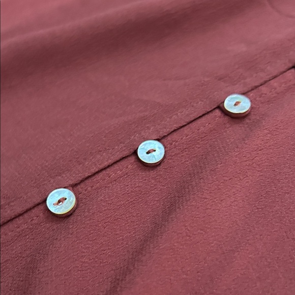 Aritzia Wilfred New Gallery Long Sleeve Button Front Dress in Rustique, Size S - Picture 8 of 14